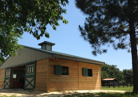 Visit Full Service and Pasture horse boarding