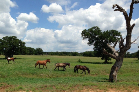 Visit Southern Sun Farm