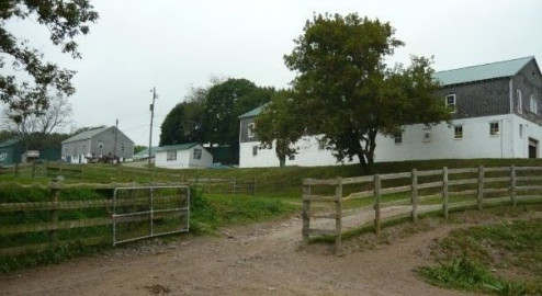 Visit Misty Spring Stables