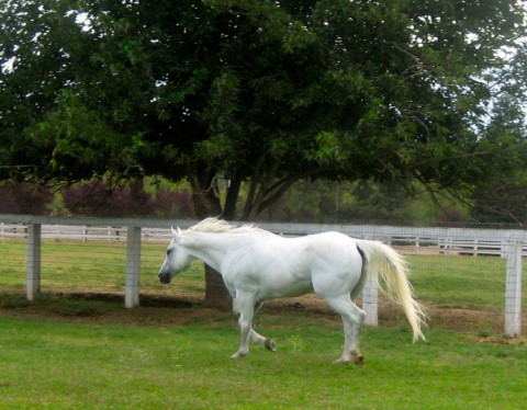 Visit Vista Verde Ranch