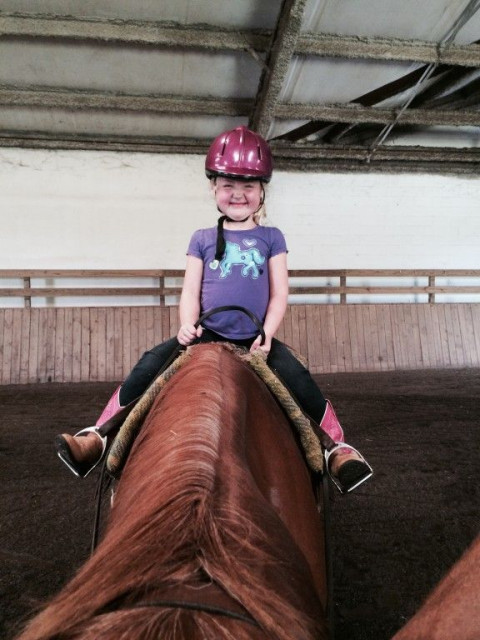 Visit Cash Lovell Stables and Riding Academy