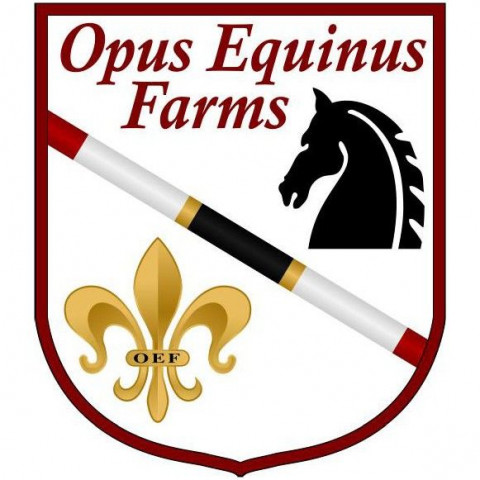 Visit Opus Equinus Farms