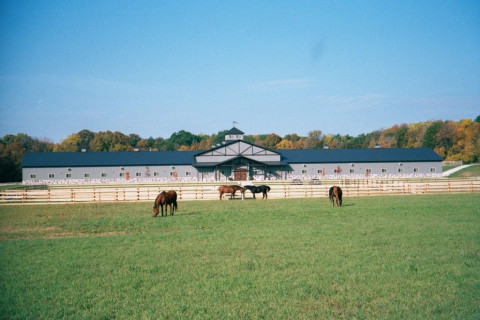 Visit Dan Barker Training Services/Hidden Pond Horse Farm