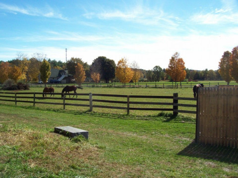 Visit Mapleview Farm