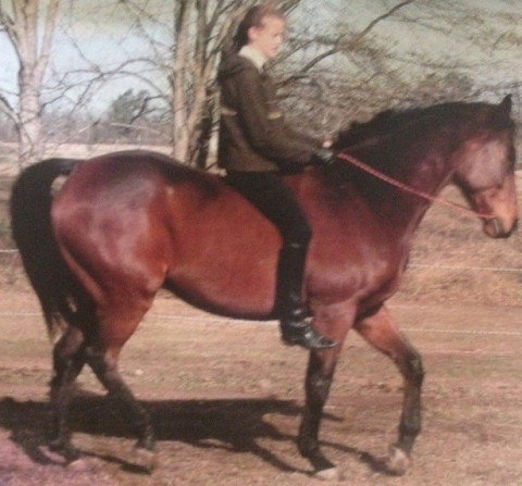 Visit Hybrid Performance Horse Training