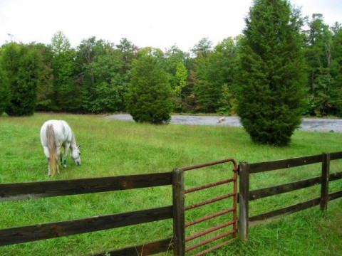 Visit Mossy Knoll Farm