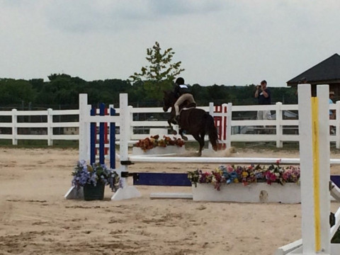 Visit Hidden springs equestrian center