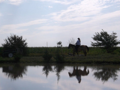 Visit Wheel of Fortune Ranch