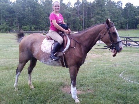 Visit Horseback Riding Lessons at Deerwood Stables