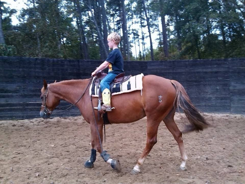 Visit Nathan and Tania Reining Horses