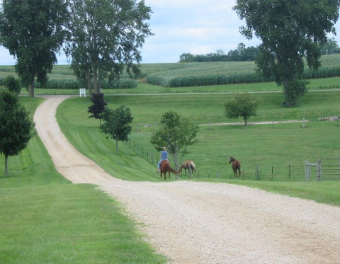 Visit Oak Grove Stable