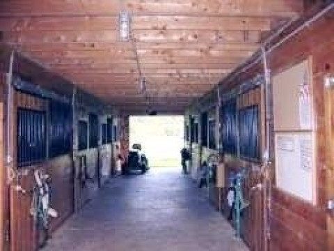 Visit Riverwood Hollow Farm