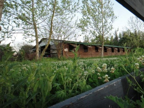 Greenridge Farm Inc A Plant City Florida Horse Boarding