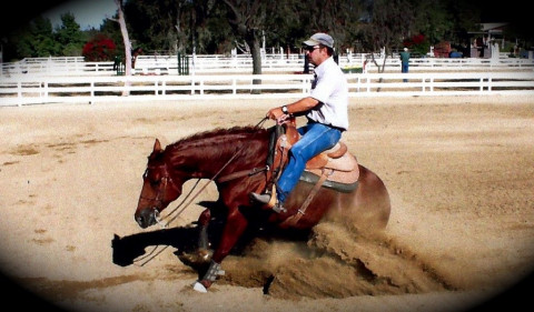 Visit Rick Baer Training Stables / Western Horseback Riding Lessons