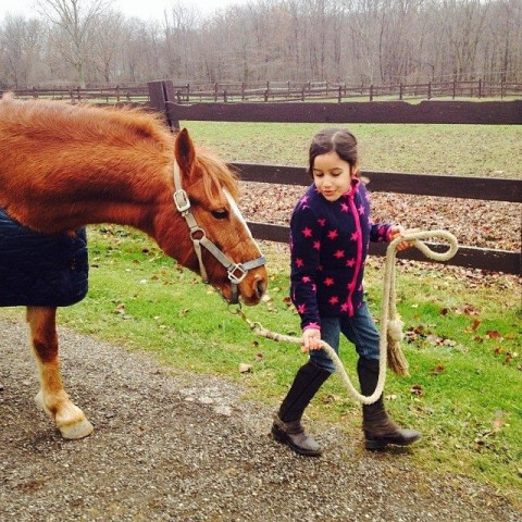 Visit Ellrick Farm