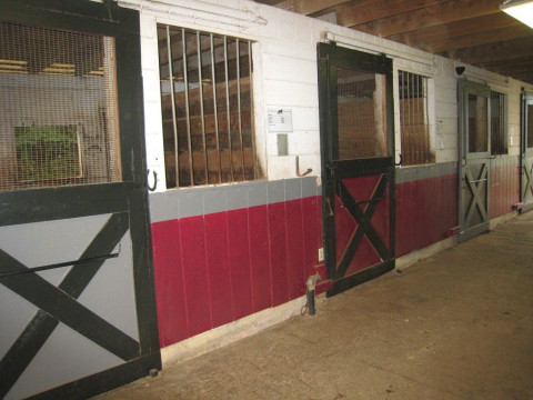 Visit Stoneridge Equestrians