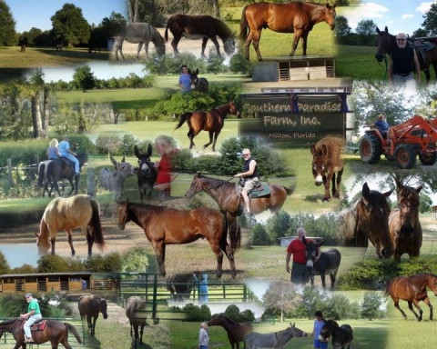 Visit Southern Paradise Farm, Inc.