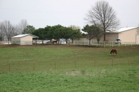 Horse Boarding In Leavenworth Kansas Leavenworth County