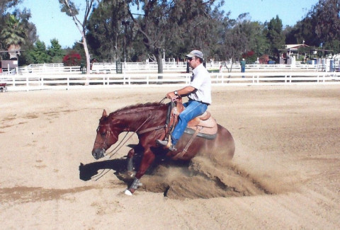 Visit Rick Baer Training Stables