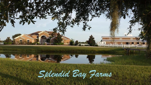 Visit Splendid Bay Farms