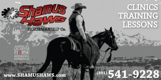 Visit Shamus Haws Horsemanship & Training