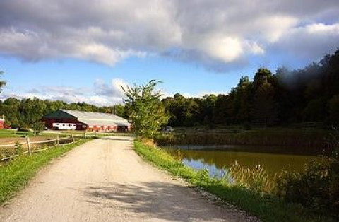 Visit Donegan Equestrian Center