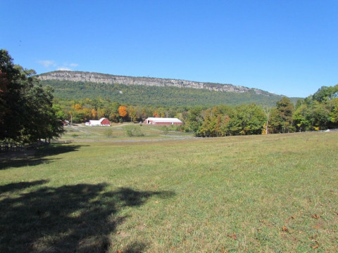 Visit Ridgeview Stables