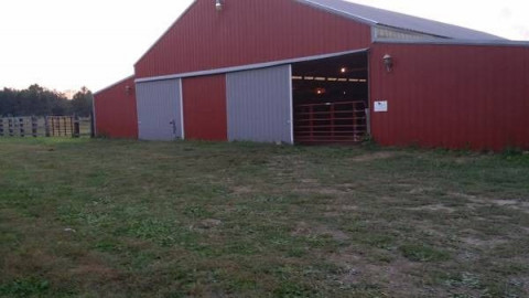 Visit Quid Pro Quo Stables
