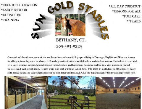 Visit Sun Gold Stables