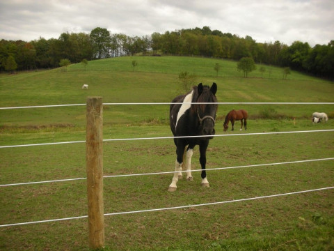 Visit First  Rate Fence