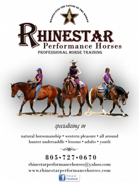 Visit Rhinestar Performance Horses