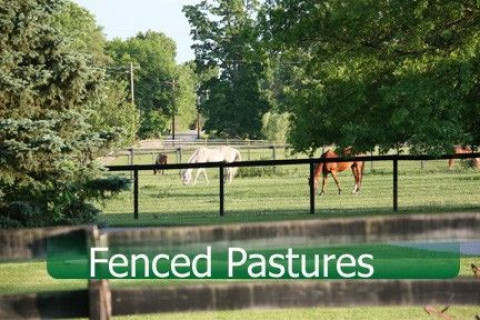 Visit Cherry Wood Stables