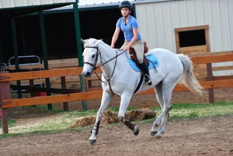 Visit Elizabeth Bullard 'Stony Meadow Equestrian Center'