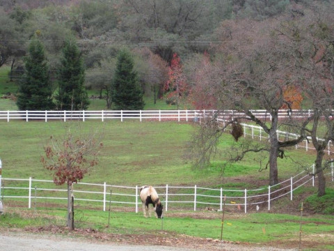 Visit 8 Oaks Ranch