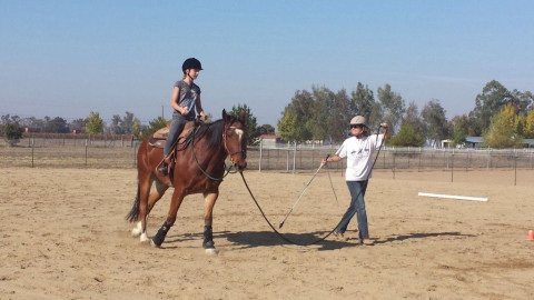 Visit Knoll's Basic Horsemanship - Jill Knoll