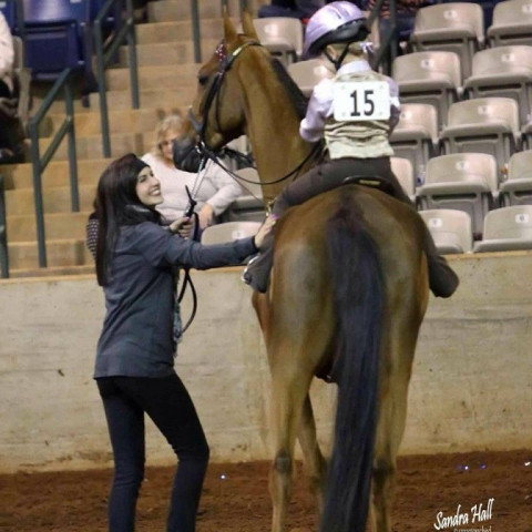 Visit Winsalot Stables