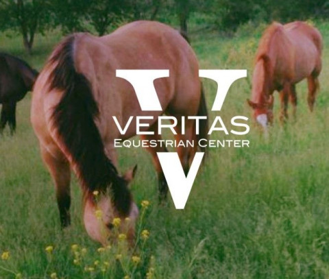Visit Veritas Equestrian Center