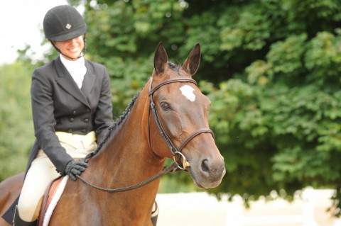 Visit TRILLION EQUESTRIAN