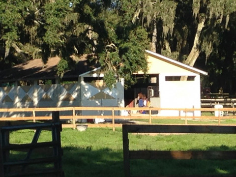 Visit Under The Oaks Equestrian Center