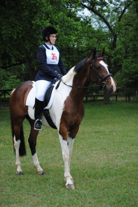 Visit Autumn Sun Stables