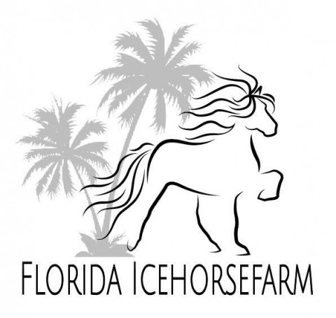 Visit FloridaIceHorseFarm