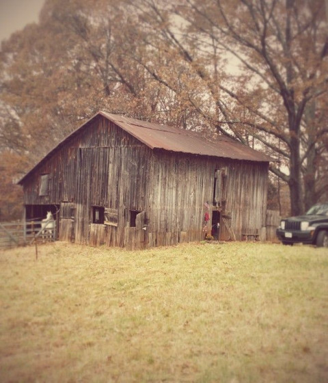 Visit Horse Boarding Available