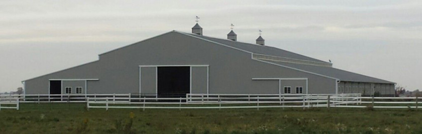 Visit Prairie Winds Show Horses