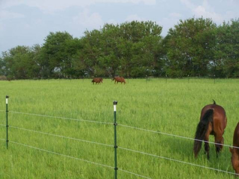 Visit Shepard Stable