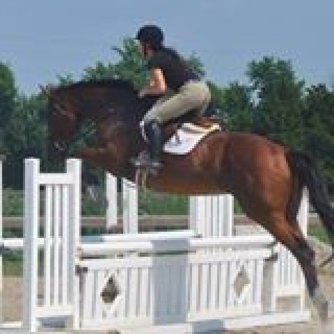 Visit West End Farm