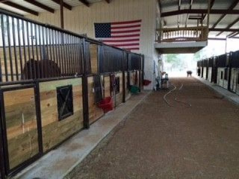 Visit Big Horse Ranch of East Texas