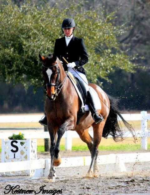 Visit Kestner Dressage at High Hopes Farm