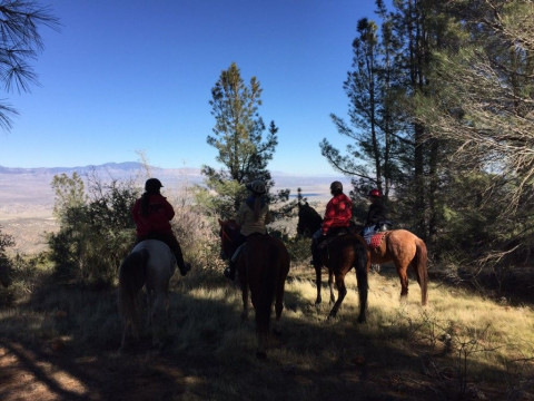 Visit Running Horse Ranch