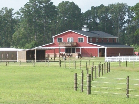 Visit walk this way stables