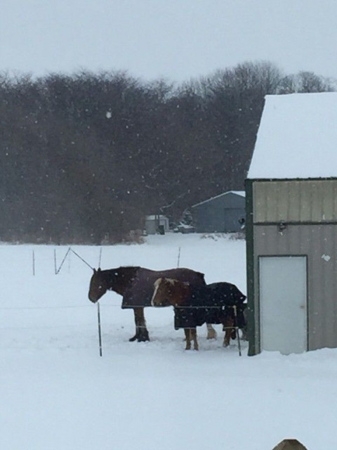 Visit Rolling Thunder Farm